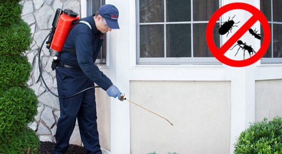 Yahşihan Böcek ve Haşere İlaçlama böcek ilaçlama ve haşere kontrolü — ilaclama-tr.com